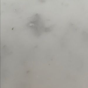 Meet your Posher, Jeremy